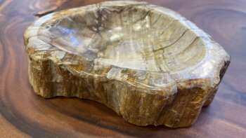 Cendrier en bois fossilisé 20x15 cm sur table – Mazawood - Menuiserie