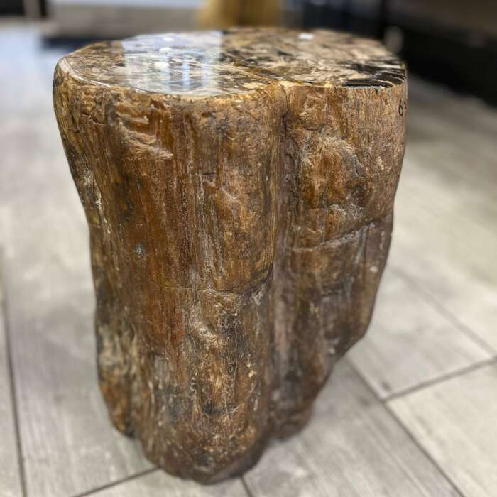 Tronc en bois fossilisé brun poli sur sol intérieur – Mazawood - Menuiserie
