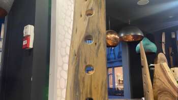 range-bouteilles design en palissandre des Indes sur platine acier – Mazawood