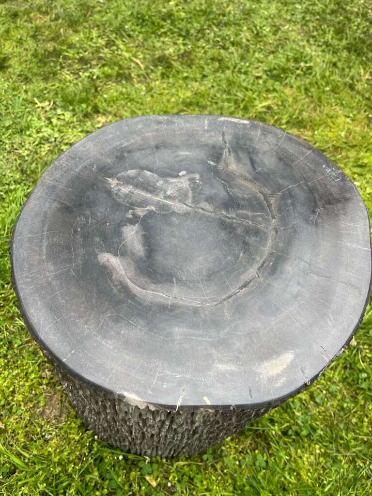 Tronc bois fossilisé noir 35 cm - vue dessus - Mazawood - Menuiserie