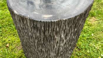 Tronc bois fossilisé 35 cm - Mazawood - Menuiserie