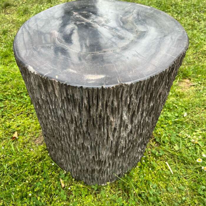 Tronc bois fossilisé 35 cm - Mazawood - Menuiserie