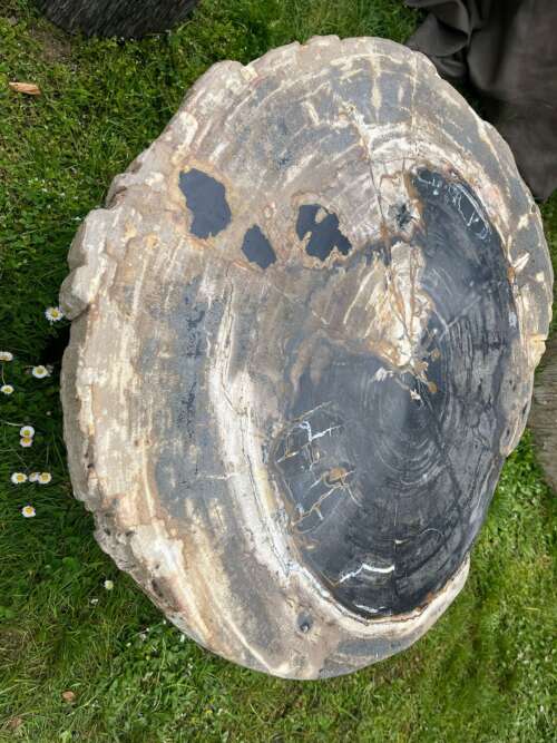 Plateau circulaire fossilisé – veines sombres et éclats naturels – Mazawood - Menuiserie