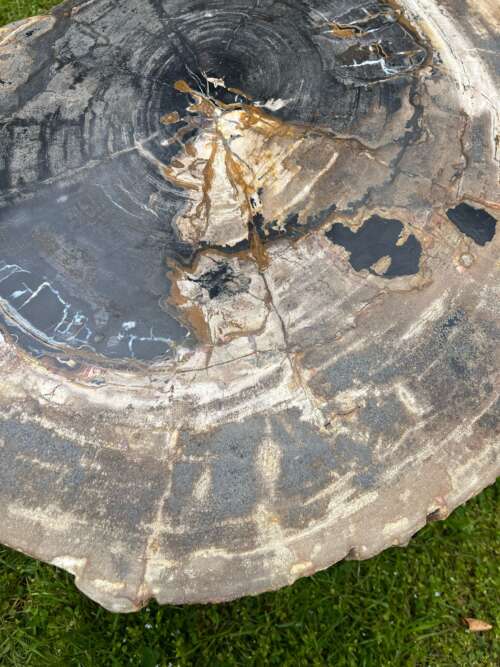 Détail des textures naturelles d’un bois fossilisé de 80 cm – Mazawood - Menuiserie