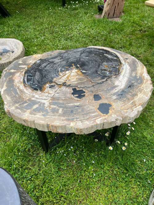 Mobilier en bois fossilisé rare, plateau massif rond – Mazawood - Menuiserie