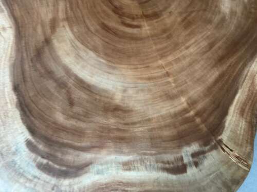 Table A23 en bois suar massif forme libre et veinage élégant Mazawood