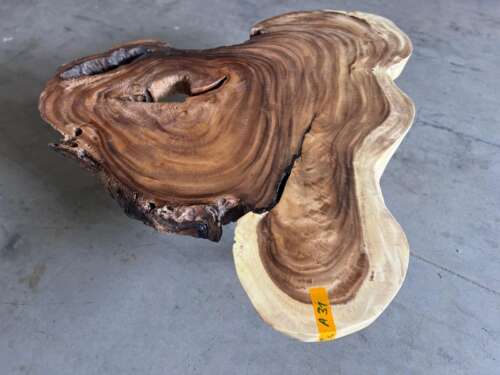 Table A31 sculpturale en bois suar massif Mazawood