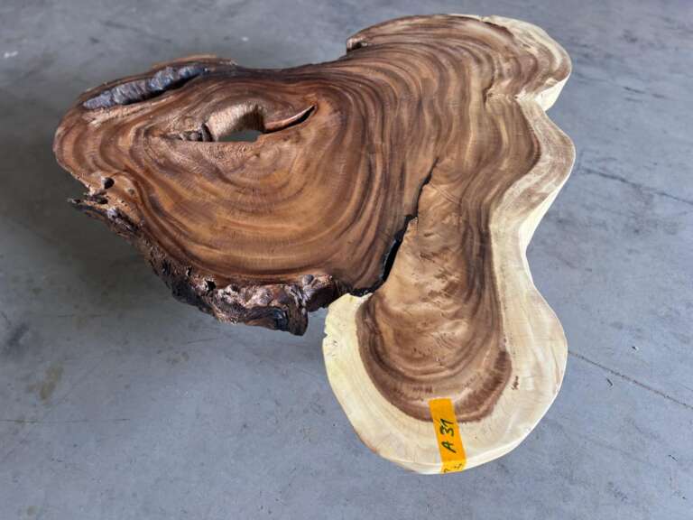 Table A31 sculpturale en bois suar massif Mazawood