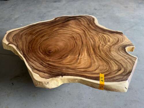 Table basse A7 en suar massif avec cernes spectaculaires — Mazawood