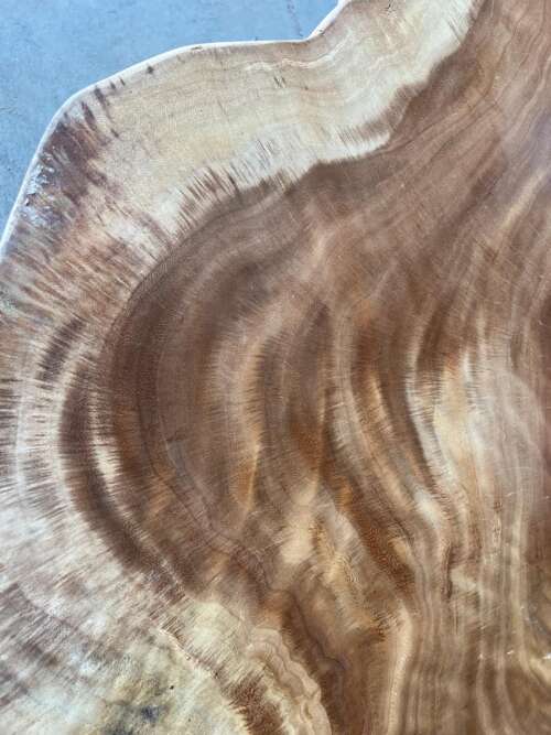 Détail du veinage naturel et formes brutes de la table basse A5 en suar — Mazawood