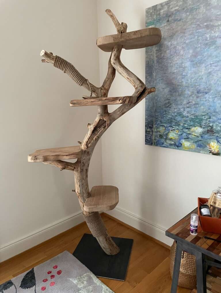 Arbre à chat haut de gamme en bois massif personnalisé