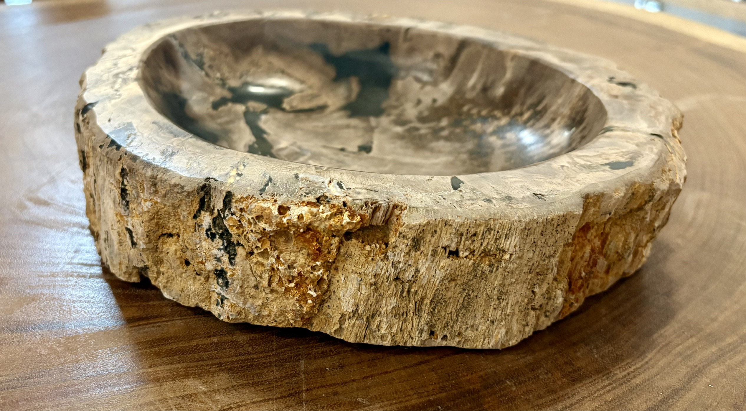 coupelle / vide poche / cendrier en bois fossilisé l2