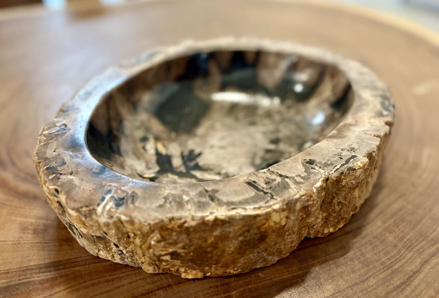 coupelle / vide poche / cendrier en bois fossilisé l