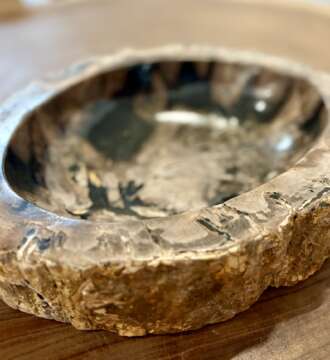 coupelle / vide poche / cendrier en bois fossilisé l