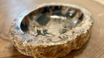 coupelle / vide poche / cendrier en bois fossilisé l