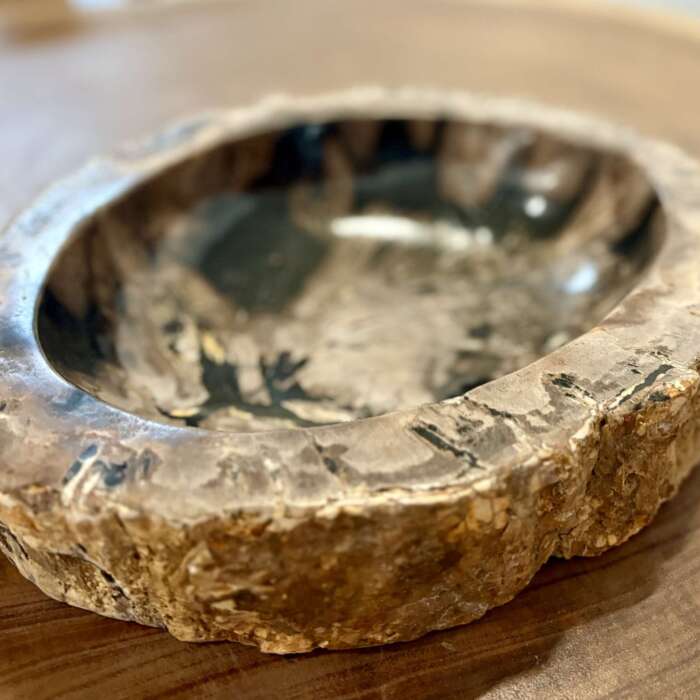 coupelle / vide poche / cendrier en bois fossilisé l