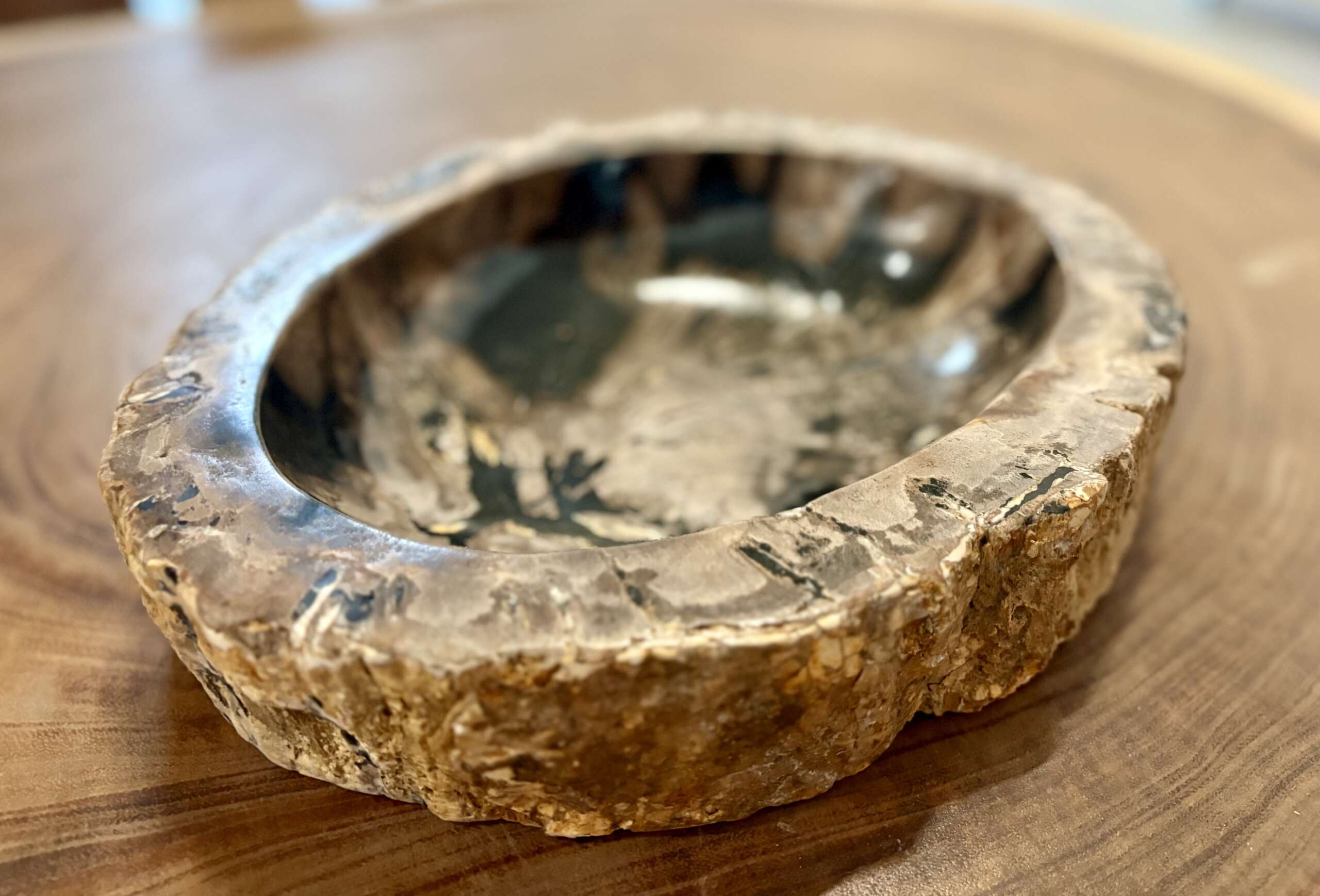 coupelle / vide poche / cendrier en bois fossilisé l