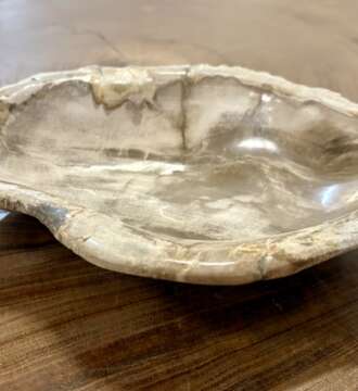 coupelle / vide poche / cendrier en bois fossilisé m