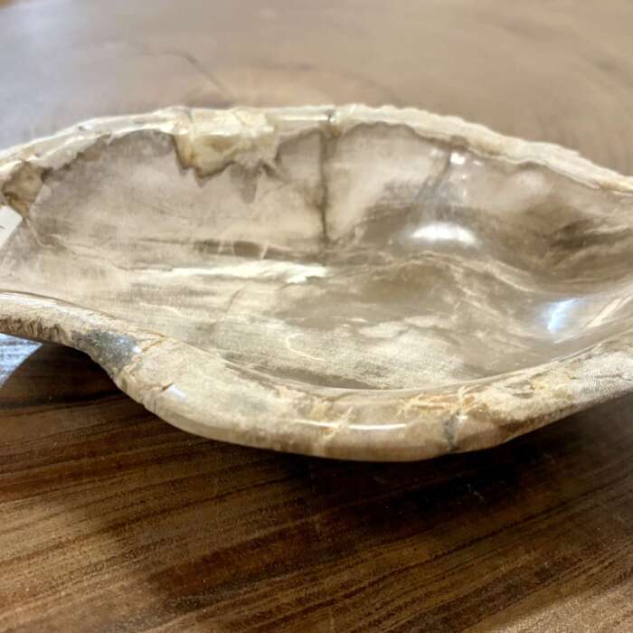 coupelle / vide poche / cendrier en bois fossilisé m