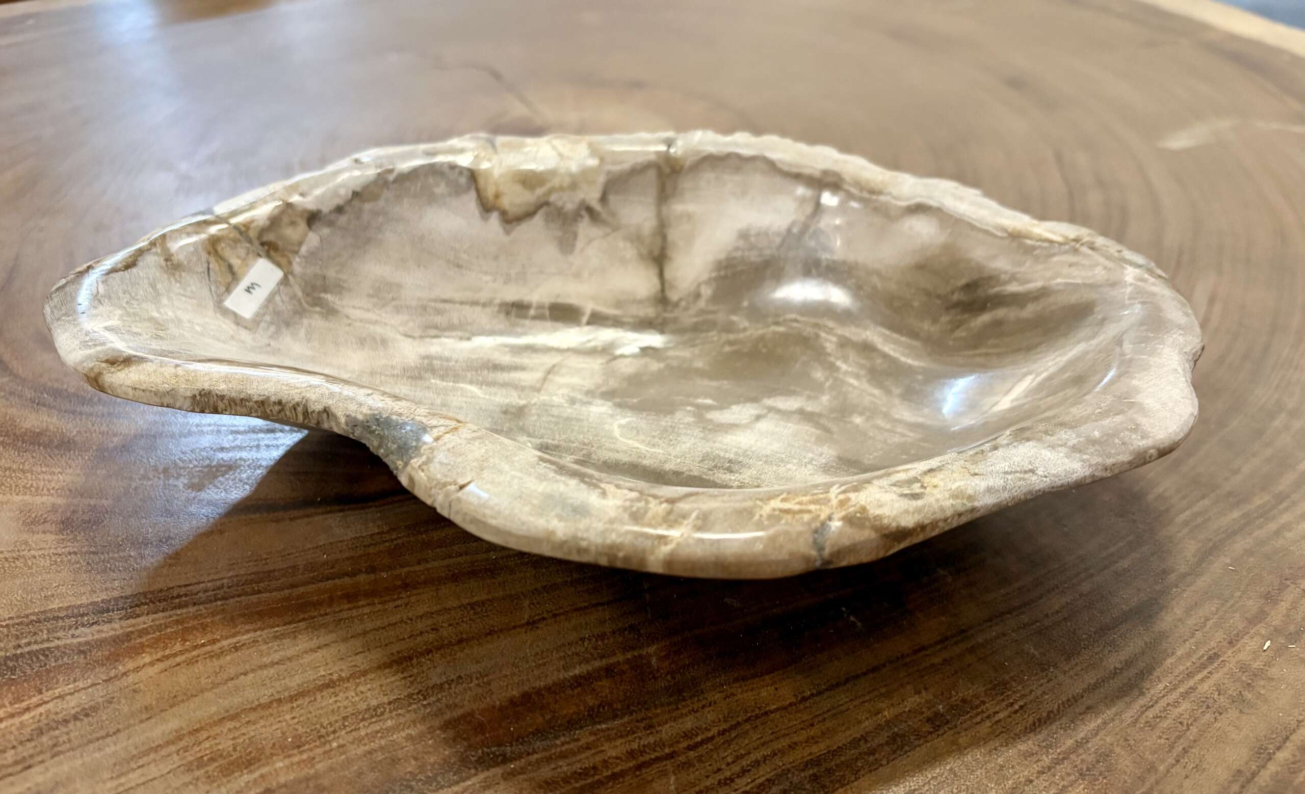 coupelle / vide poche / cendrier en bois fossilisé m