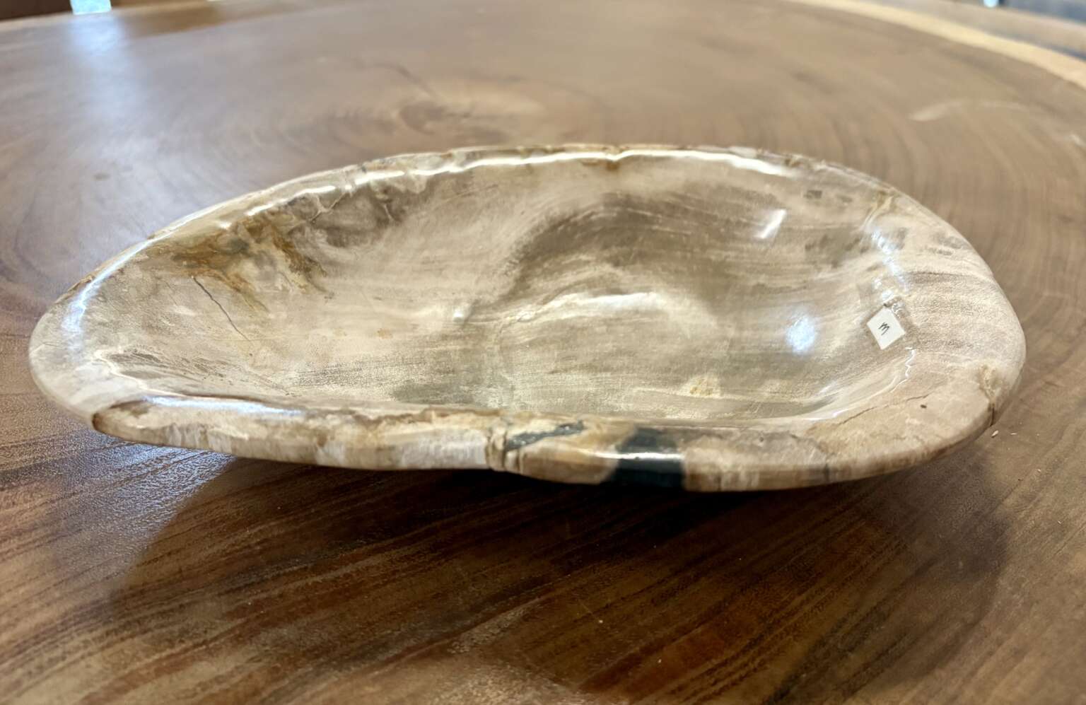 coupelle / vide poche / cendrier en bois fossilisé m2