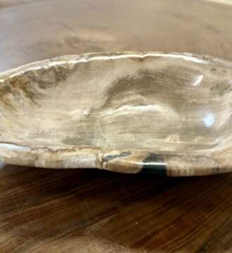 coupelle / vide poche / cendrier en bois fossilisé m2