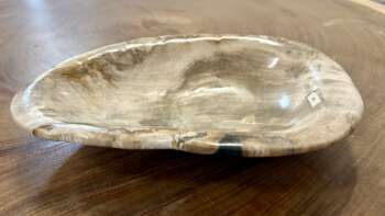 coupelle / vide poche / cendrier en bois fossilisé m2