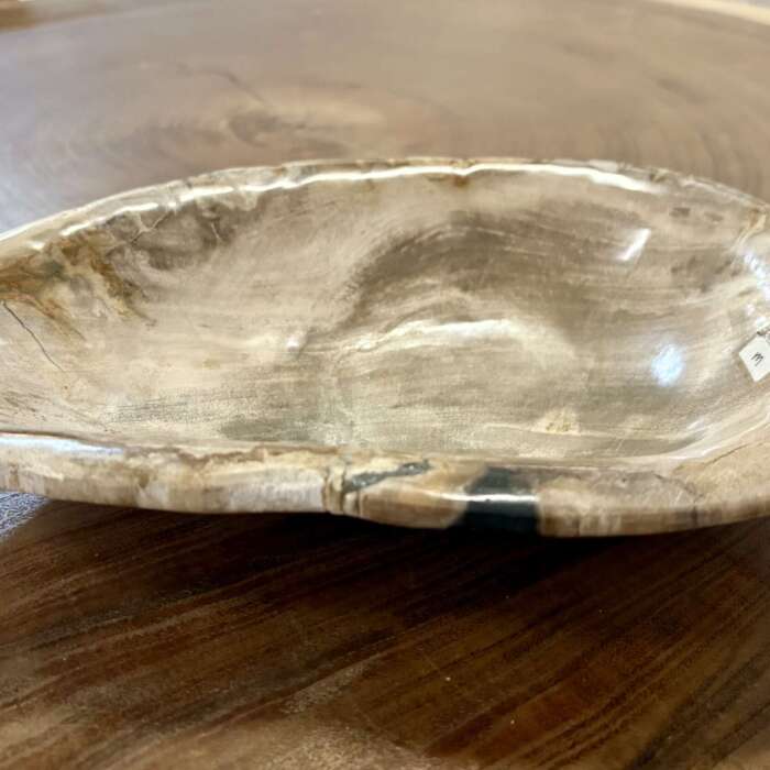 coupelle / vide poche / cendrier en bois fossilisé m2