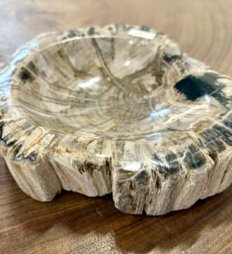 coupelle / vide poche / cendrier en bois fossilisé s