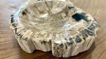 coupelle / vide poche / cendrier en bois fossilisé s