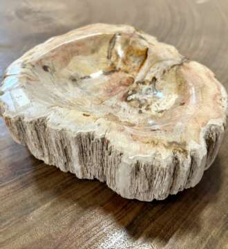 coupelle / vide poche / cendrier en bois fossilisé s2
