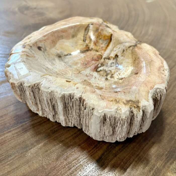 coupelle / vide poche / cendrier en bois fossilisé s2
