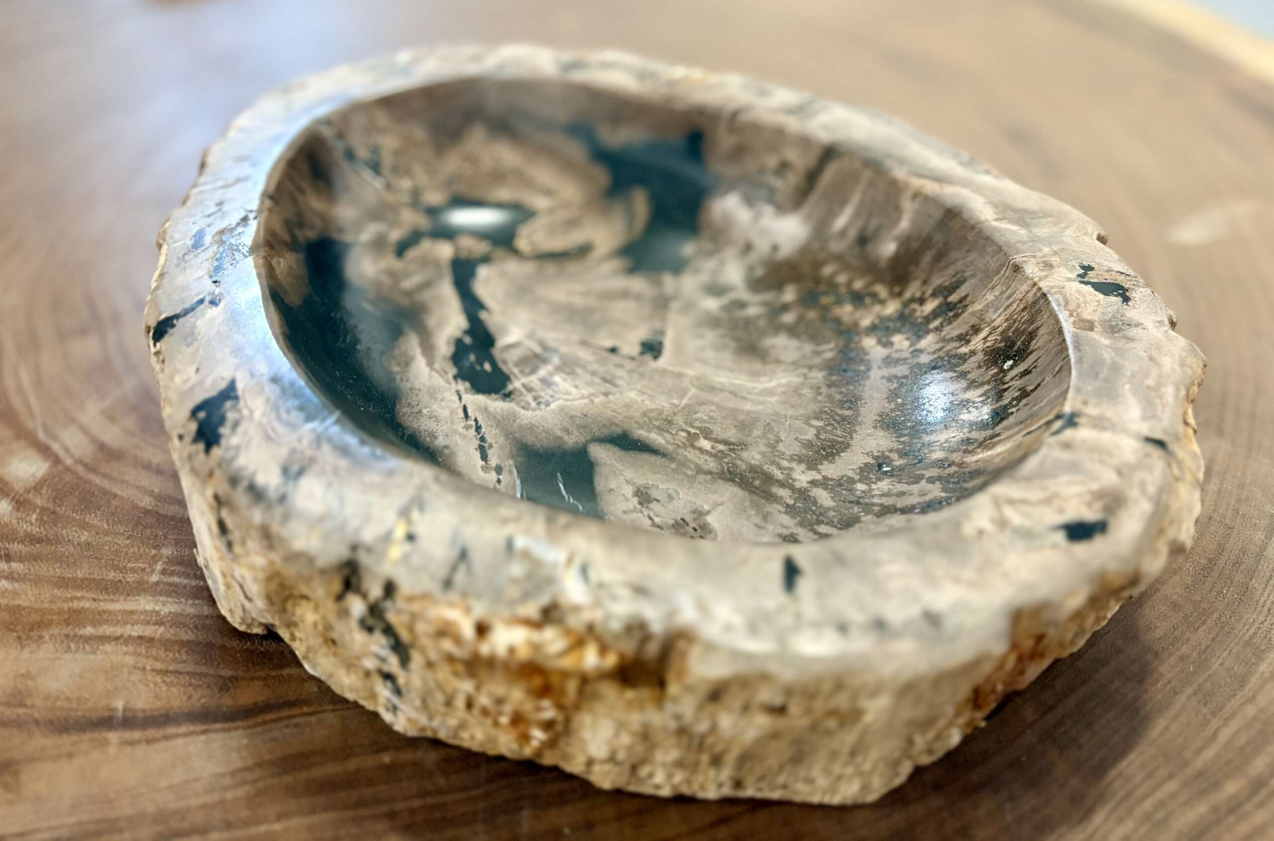 coupelle / vide poche / cendrier en bois fossilisé l2
