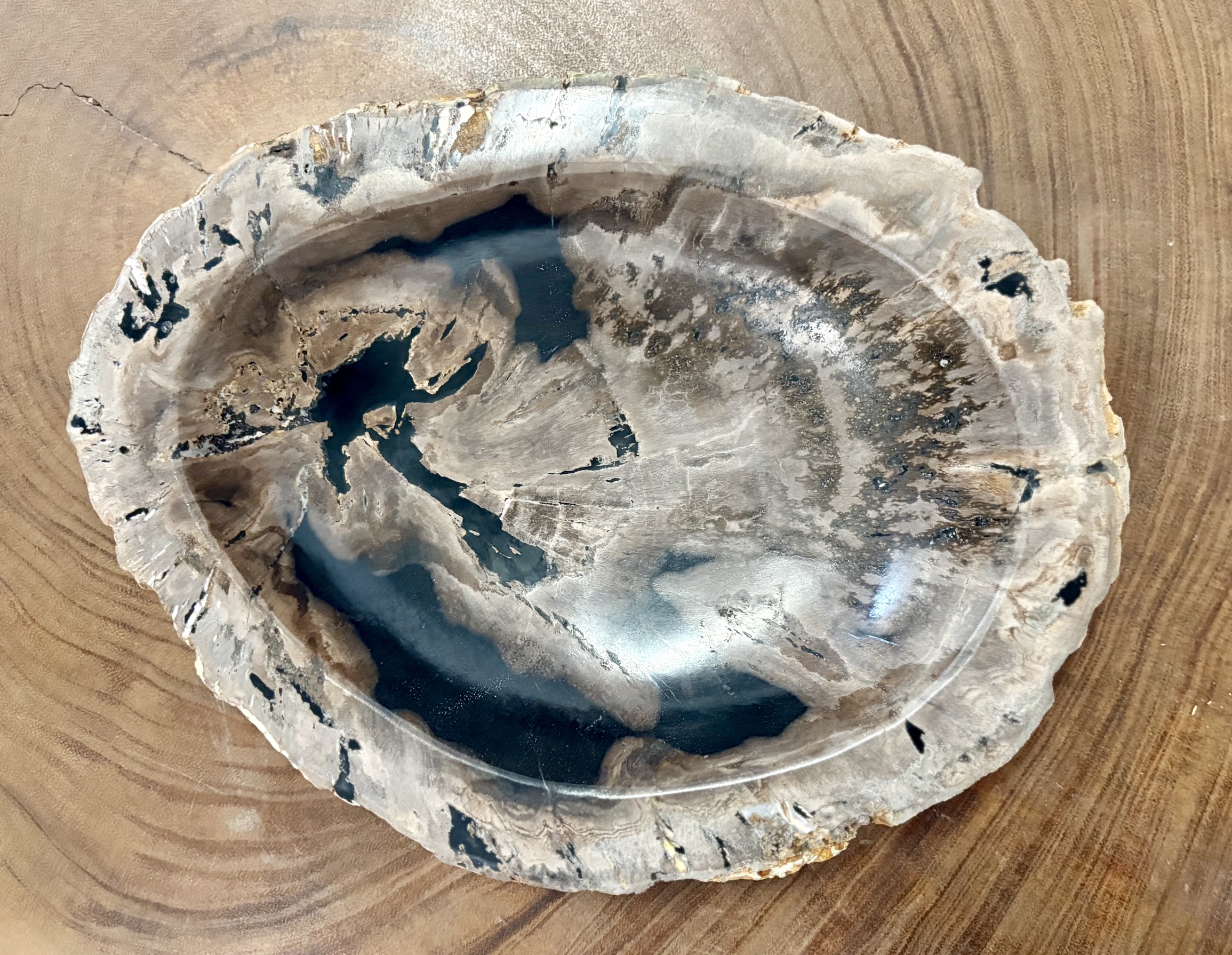 coupelle / vide poche / cendrier en bois fossilisé l2