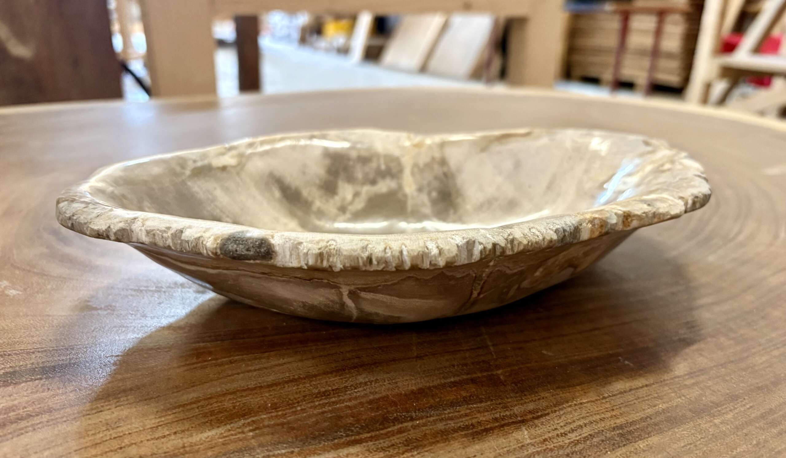 coupelle / vide poche / cendrier en bois fossilisé m