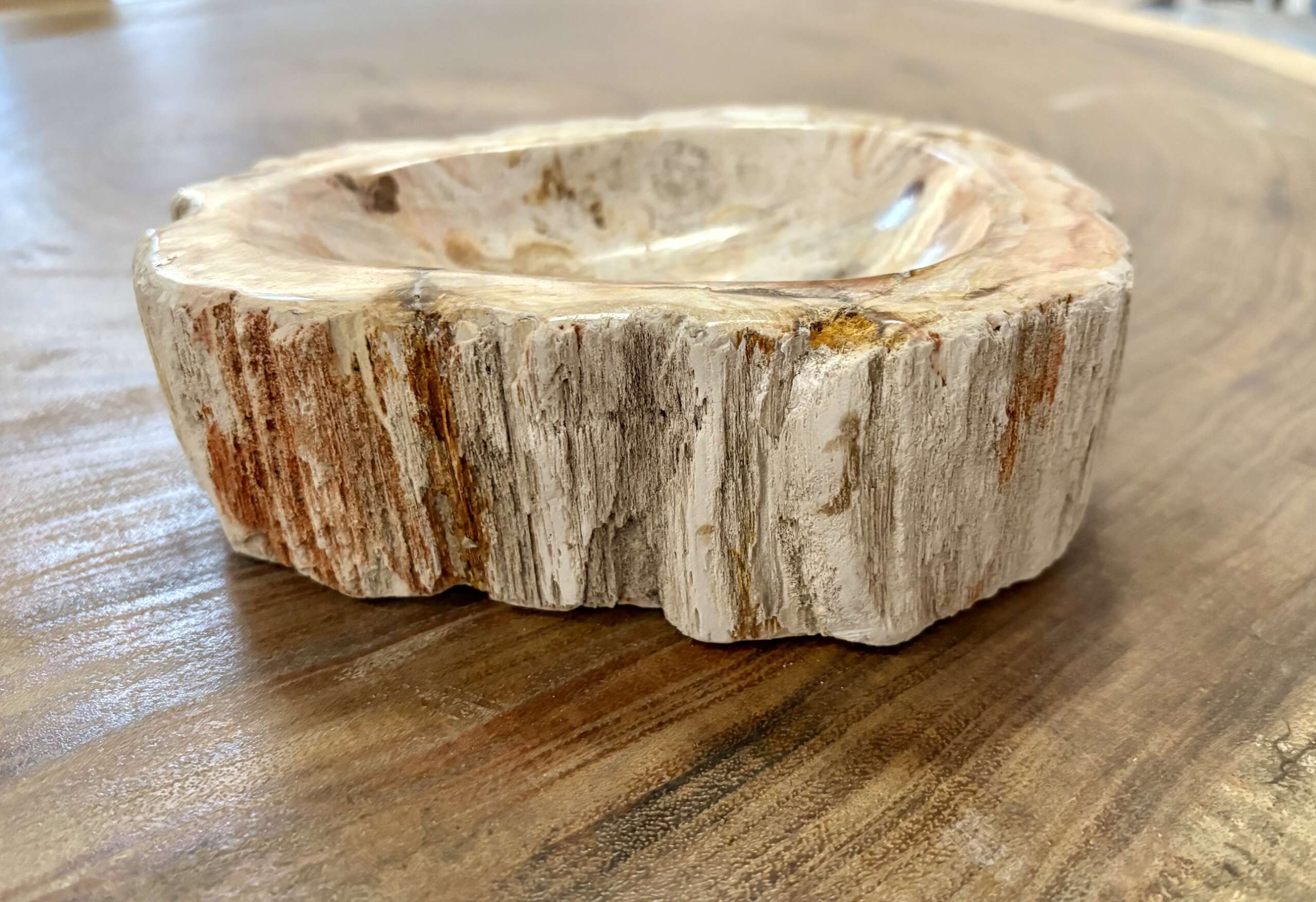 coupelle / vide poche / cendrier en bois fossilisé s2