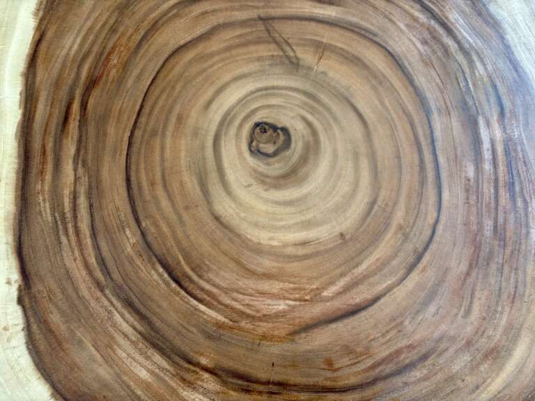 table basse en suar massif