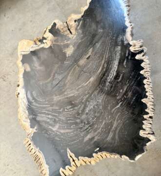 table basse en bois fossilisé