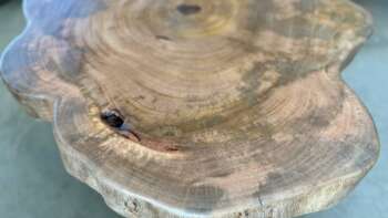 table basse en manguier massif