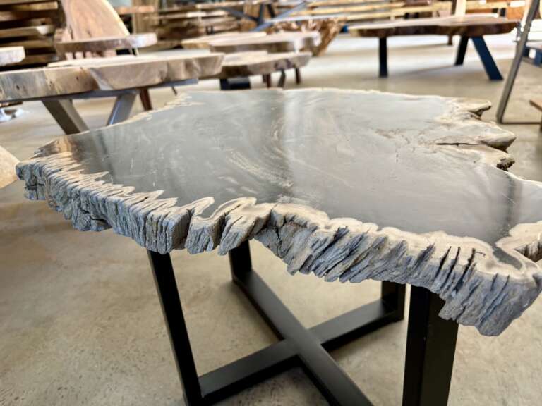 table basse en bois fossilisé
