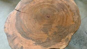 table basse en manguier massif