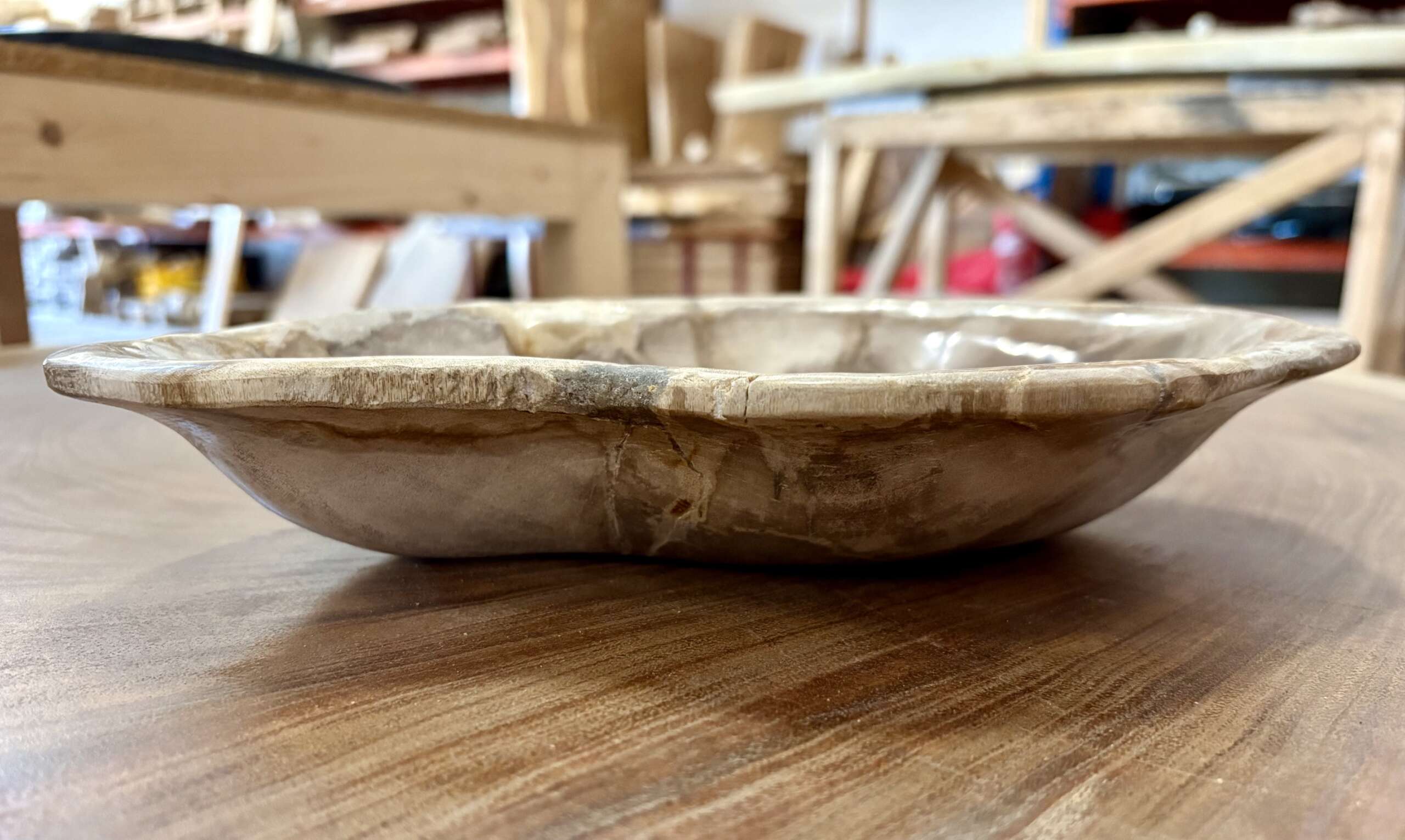 coupelle / vide poche / cendrier en bois fossilisé m