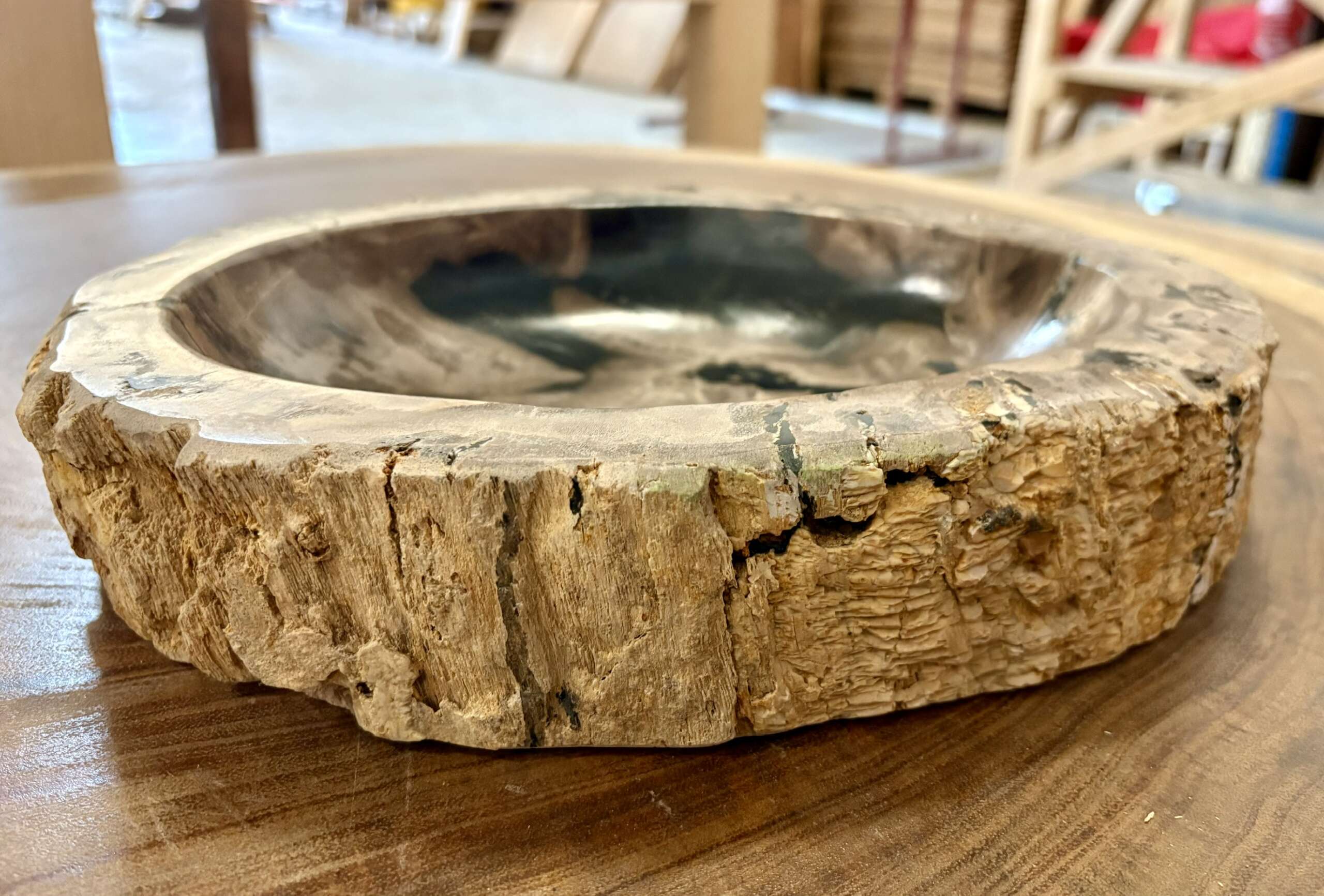 coupelle / vide poche / cendrier en bois fossilisé l2