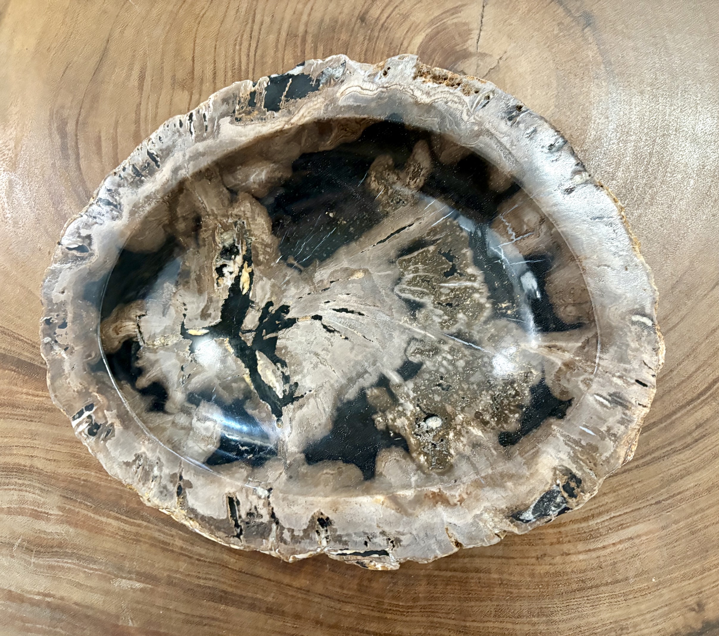 coupelle / vide poche / cendrier en bois fossilisé l